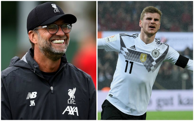 Klopp-Werner