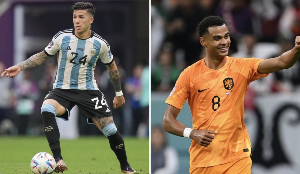 Cody Gakpo, Enzo Fernandez