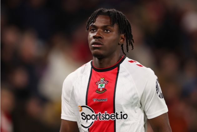 Lavia